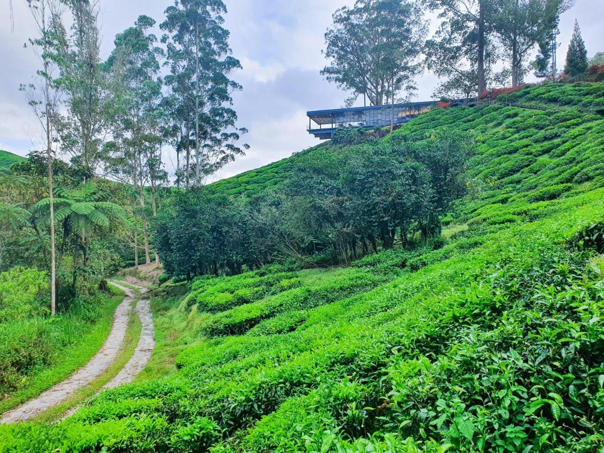 Mossy Forest Family Retreat, Kea Farm Brinchang公寓 外观 照片