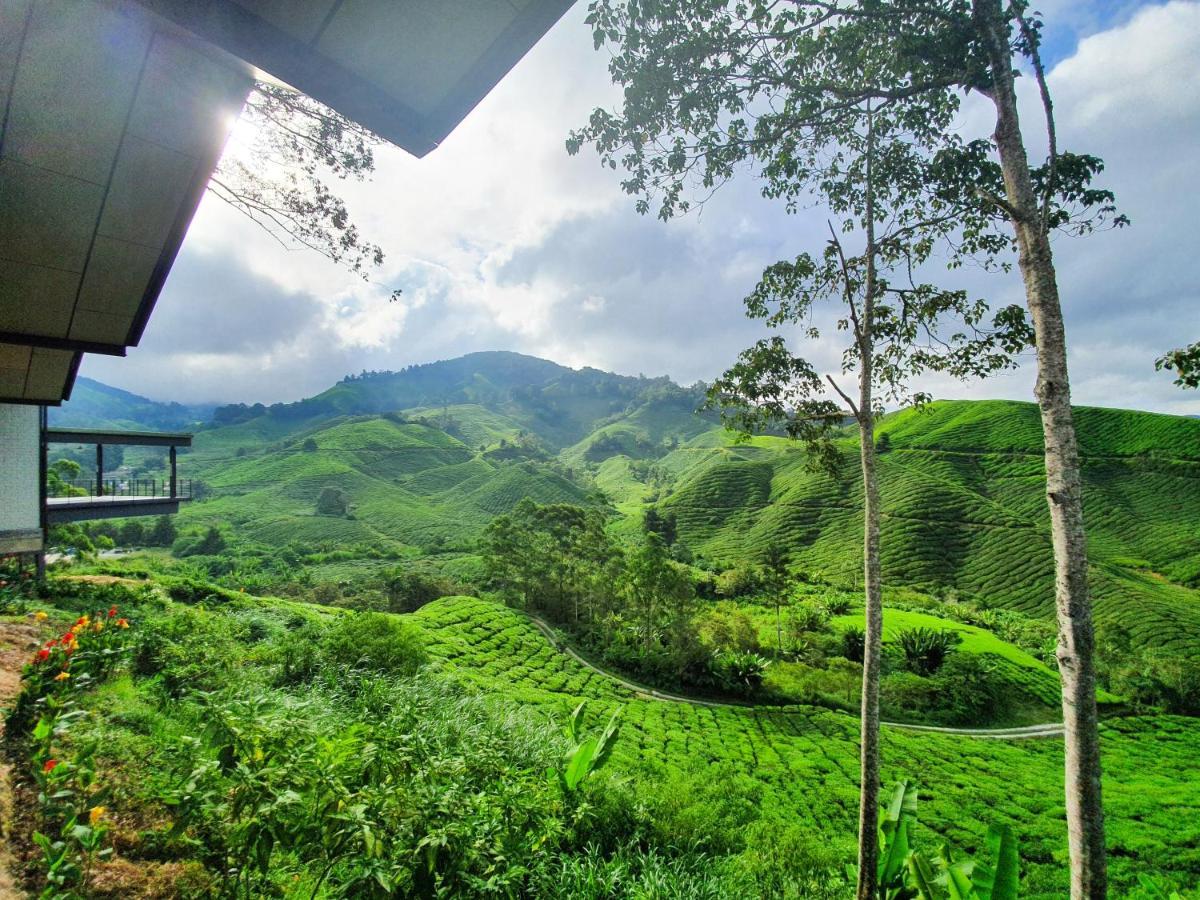 Mossy Forest Family Retreat, Kea Farm Brinchang公寓 外观 照片