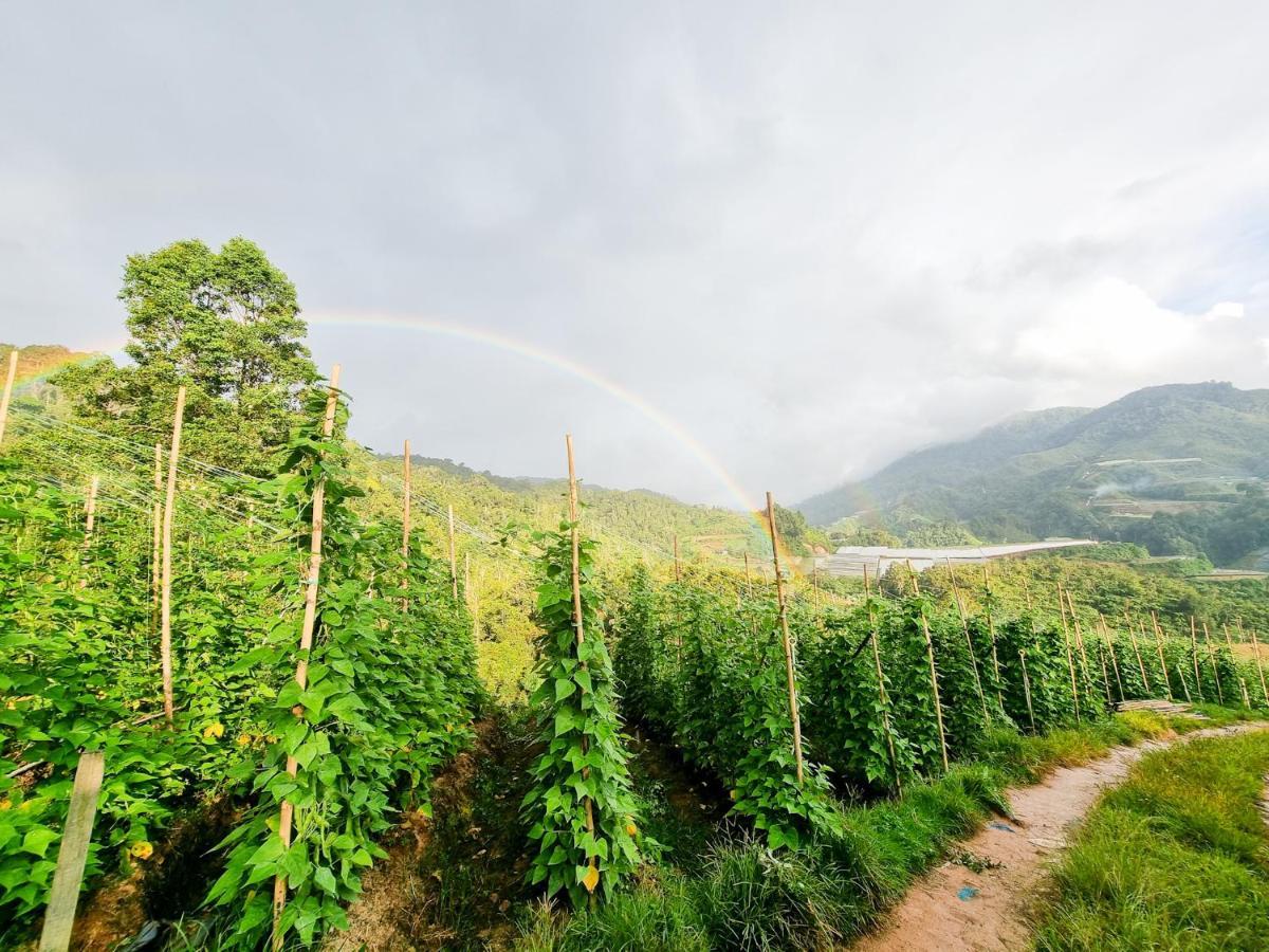 Mossy Forest Family Retreat, Kea Farm Brinchang公寓 外观 照片