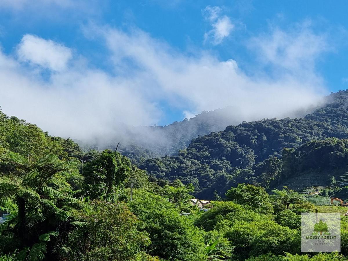 Mossy Forest Family Retreat, Kea Farm Brinchang公寓 外观 照片